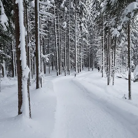 Bergresort Seefeld Hotel
