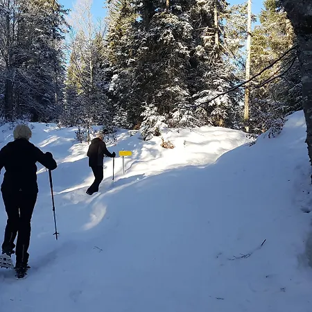 Bergresort Seefeld Hotel