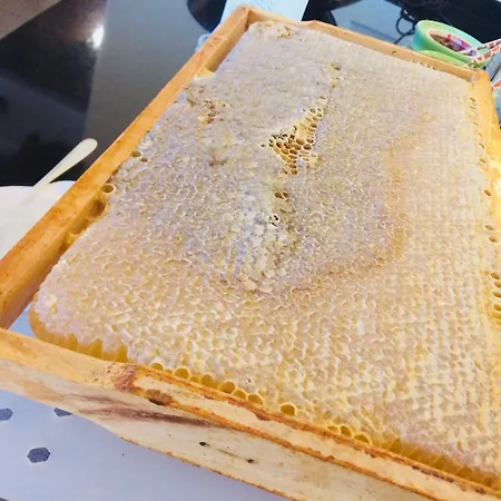 Hotel Bergresort Seefeld Seefeld in Tirol