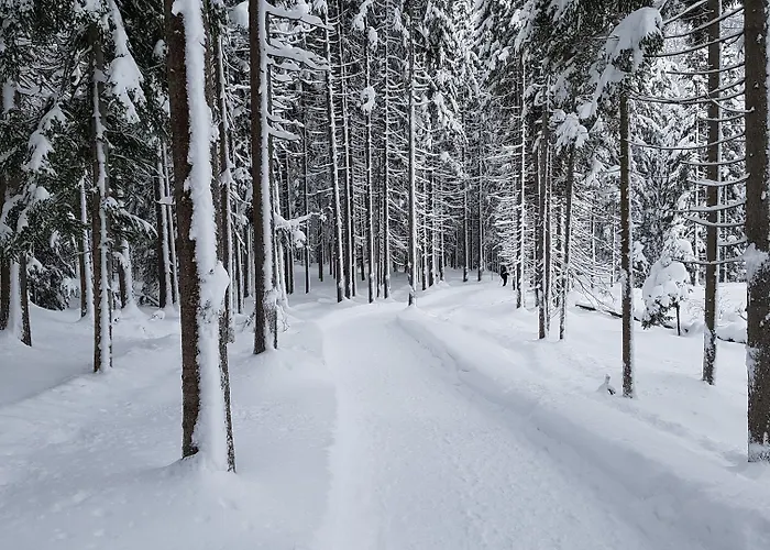 Bergresort Seefeld מלון