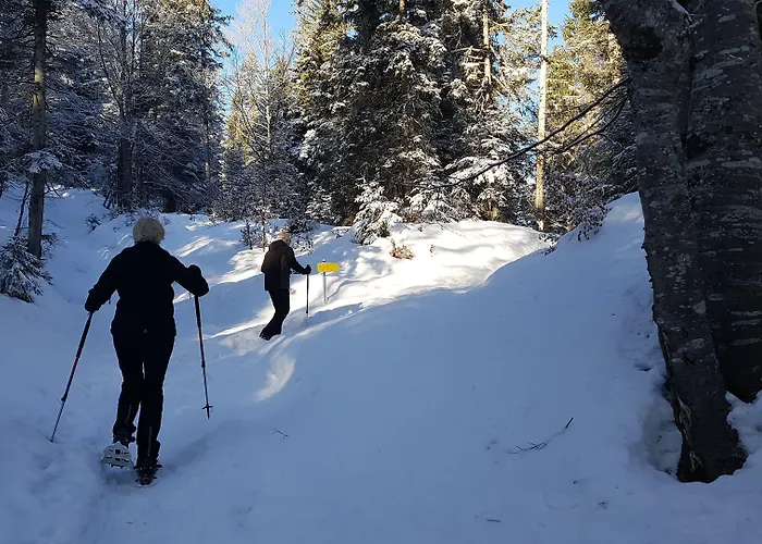 Bergresort Seefeld Готель