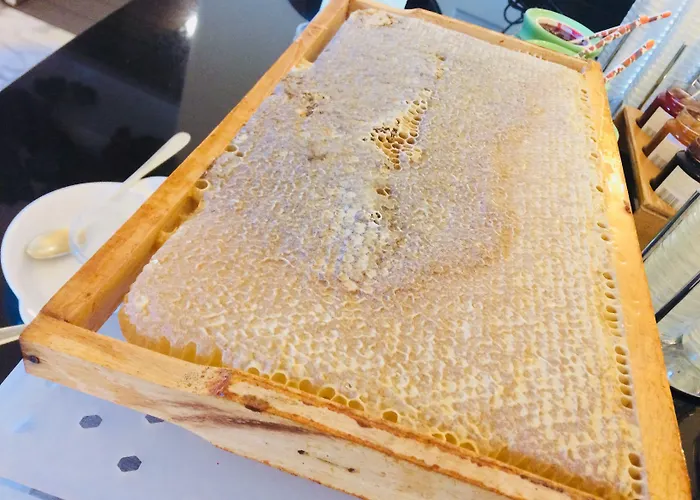 호텔 Bergresort Seefeld 제펠드 인 티롤